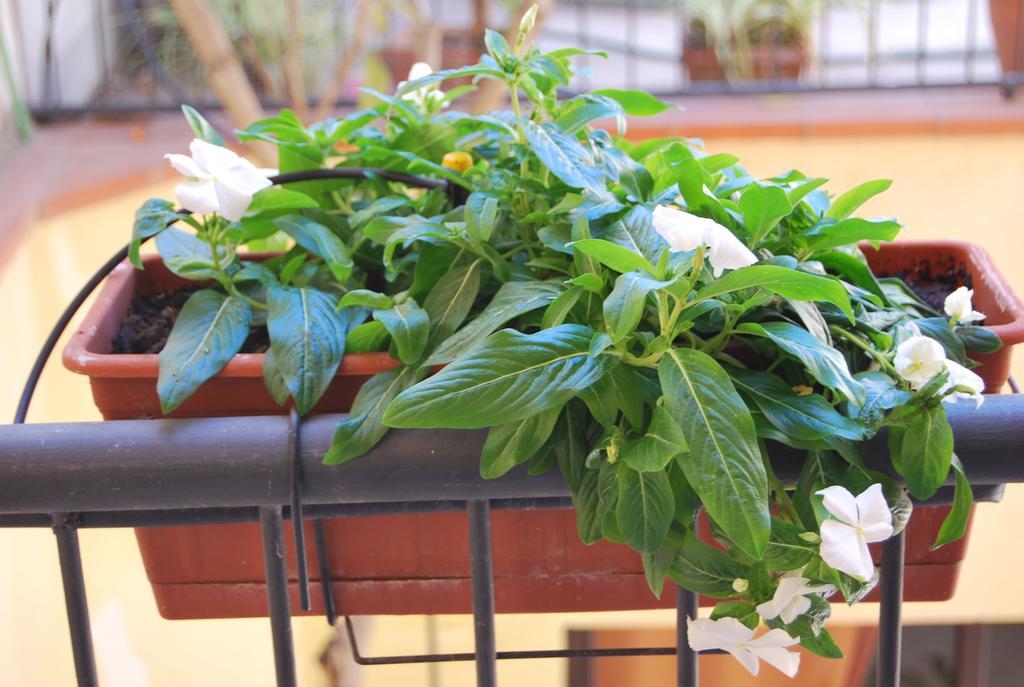 Apartment Casa Francesca Syracuse Ngoại thất bức ảnh
